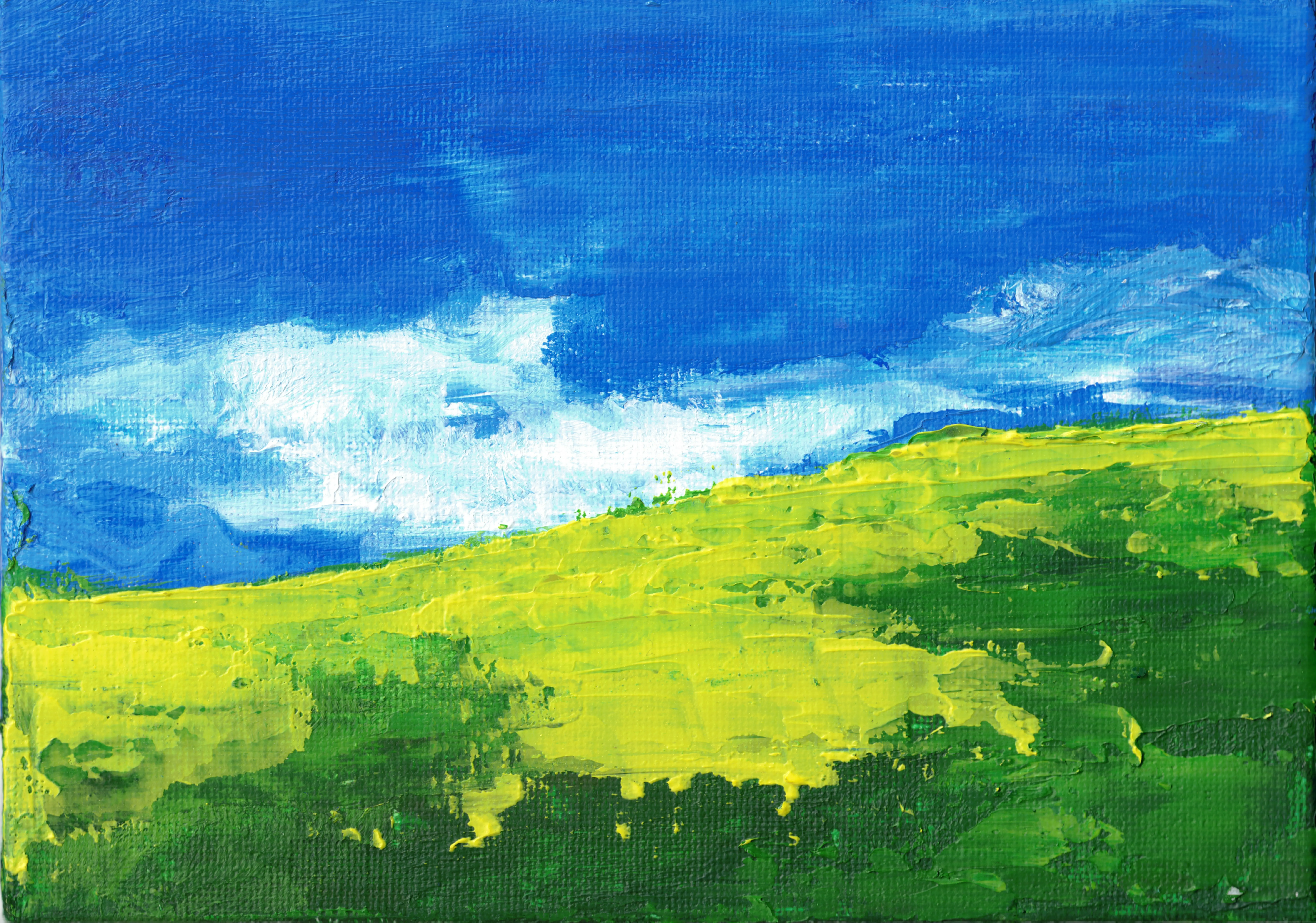 Erin Lilli Landscape Study #4a, 2025 Acrylic on 5" × 7" canvas panel A0705CP25LS02